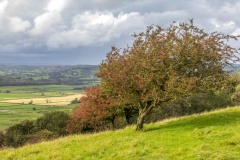 Sizergh Castle walk, Lyth Valley