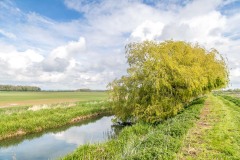Skerne Wetlands, chalk stream