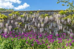 Sledmere House, Lark Ascending