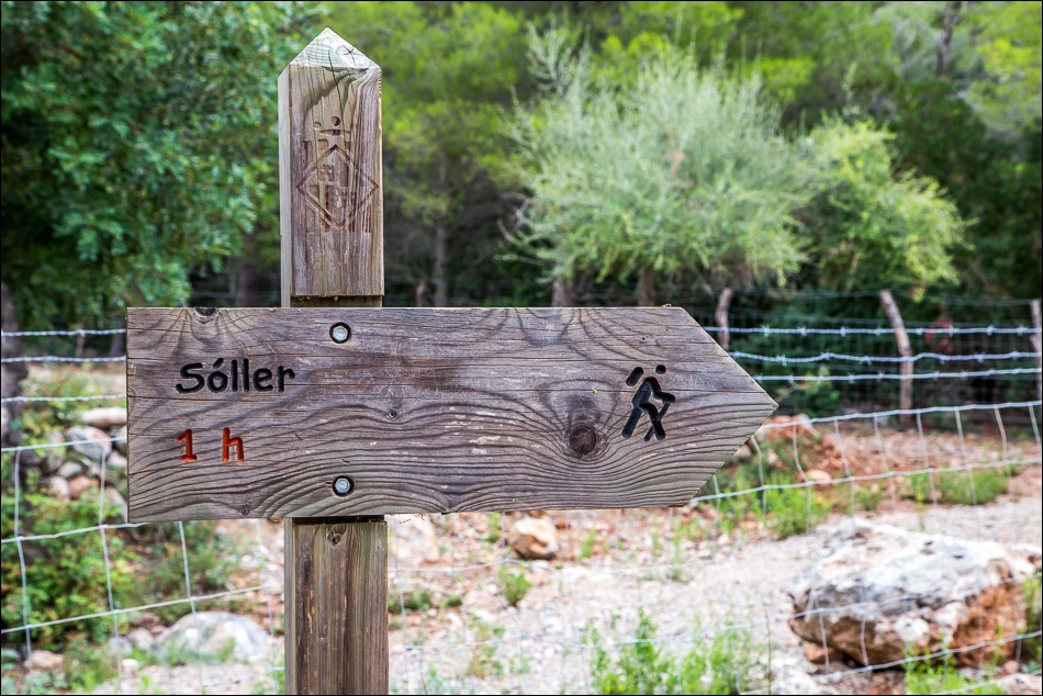 Soller walking sign