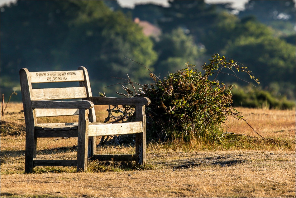 Stanpit Marsh bench
