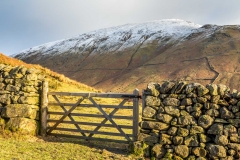 Dollywagon Pike