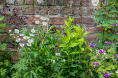 Stillingfleet Lodge Gardens