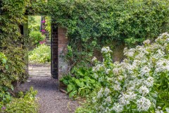 Stillingfleet Lodge Gardens