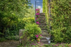 Stillingfleet Lodge Gardens