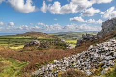Garn Fechan