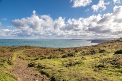 Strumble Head walk