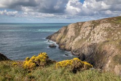 Strumble Head walk
