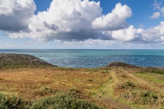 Strumble Head walk