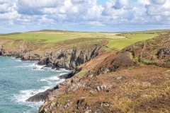 Strumble Head walk