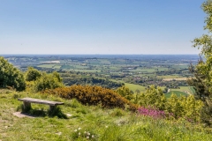 Sutton Bank walk