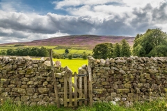 Swaledale walk, squeeze stile