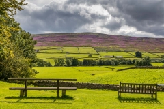 Swaledale walk