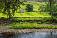 Swaledale walk, River Swale