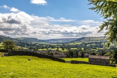 Swaledale walk, Reeth