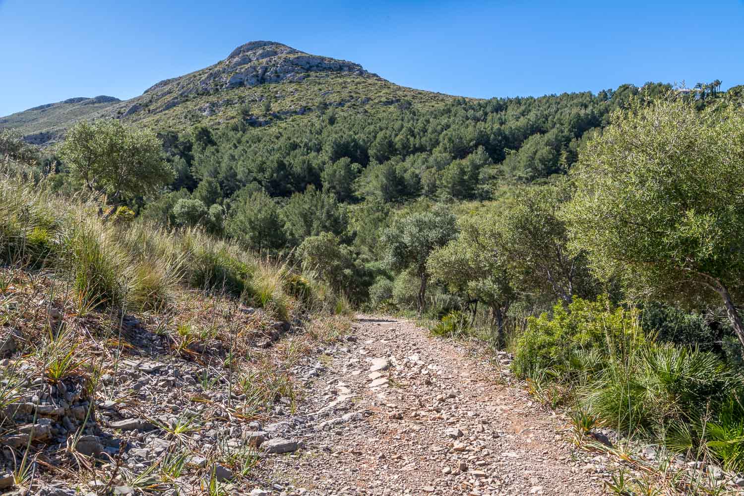 Talaia d'Alcudia walk, Mallorca