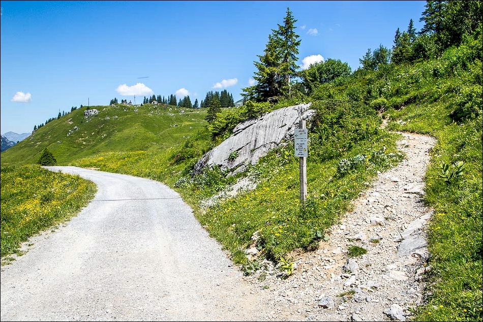 Tannberg walk, Austrian Alps