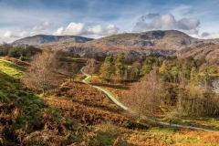 Tarn Hows walk