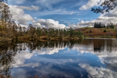 Tarn Hows reflections