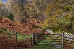 Tarn Hows walk