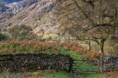 Tarn Hows walk