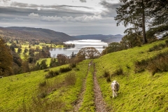 Coniston Water