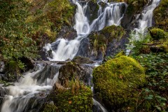 Tom Gill waterfalls