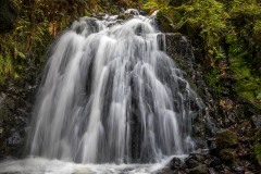 Tom Gill waterfalls