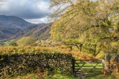 Tarn Hows walk