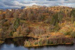 Tarn Hows, Tom Heights, Langdale Pikes