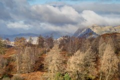 Tarn Hows panorama