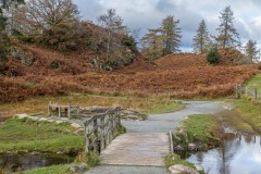 Tarn Hows walk
