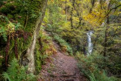 Tom Gill waterfalls