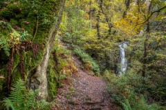 Tom Gill waterfalls