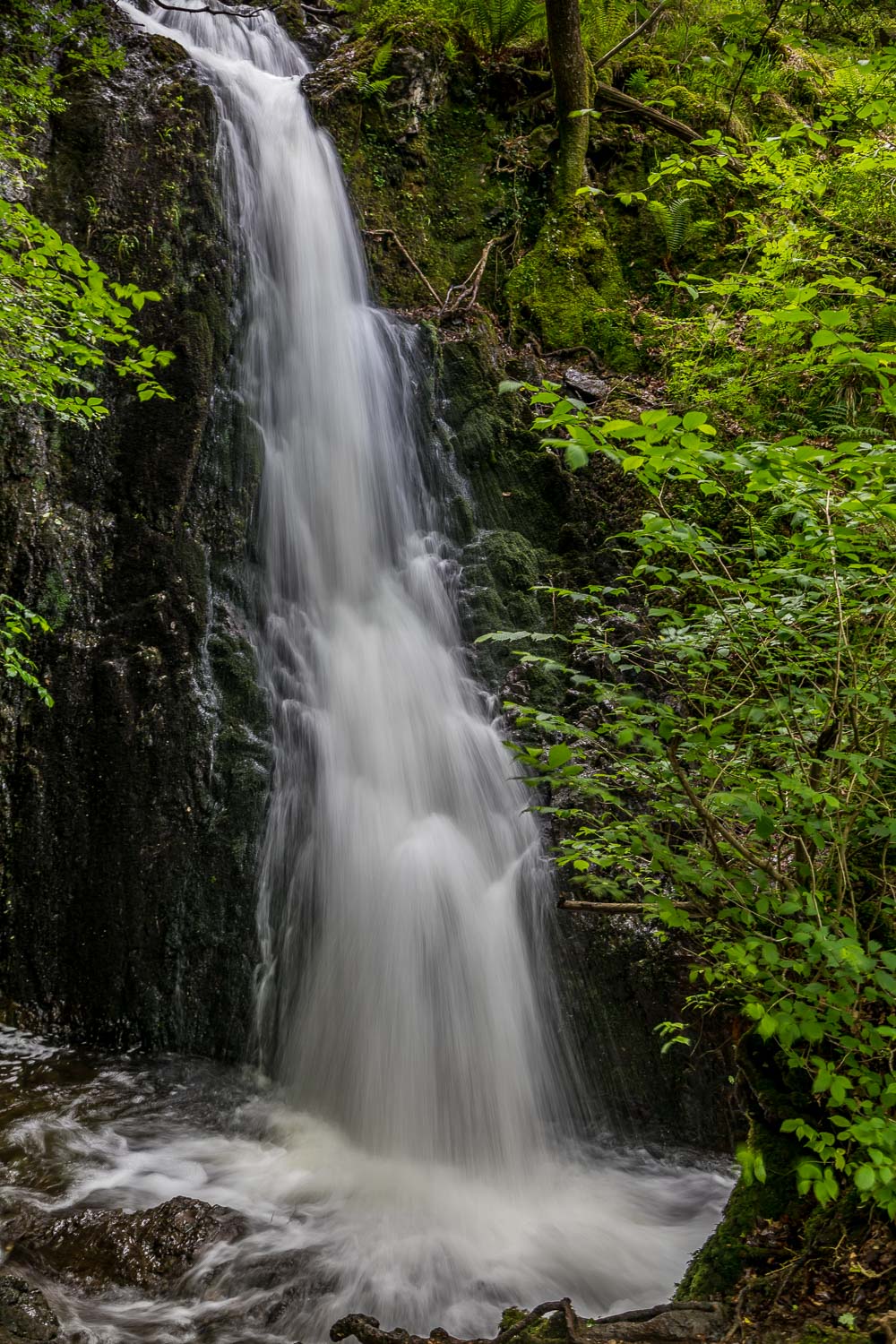 Tarn Hows walk, Tom Gill waterfall