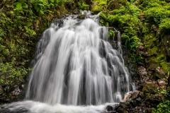 Tarn Hows walk, Tom Gill waterfall