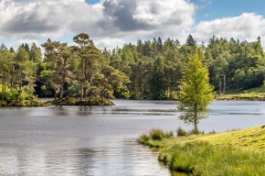 TarTarn Hows walk
