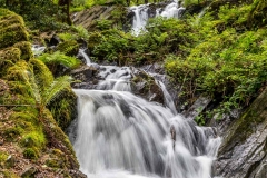 Tarn Hows walk, Tom Gill