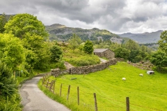Tarn Hows walk