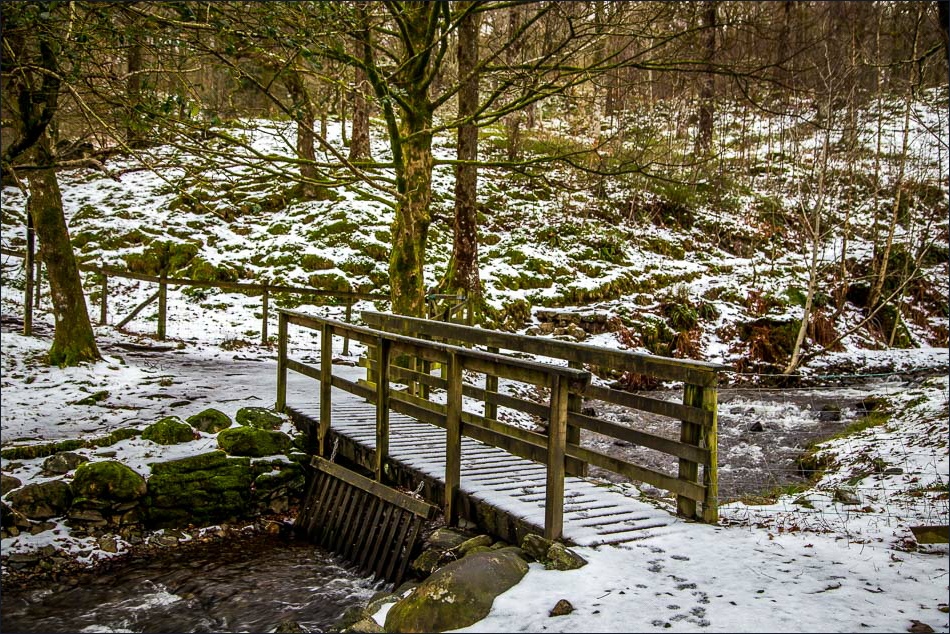 Tarn Hows walk, footbridge over Tom Gill Tarn Hows walk, footbridge over Tom Gill
