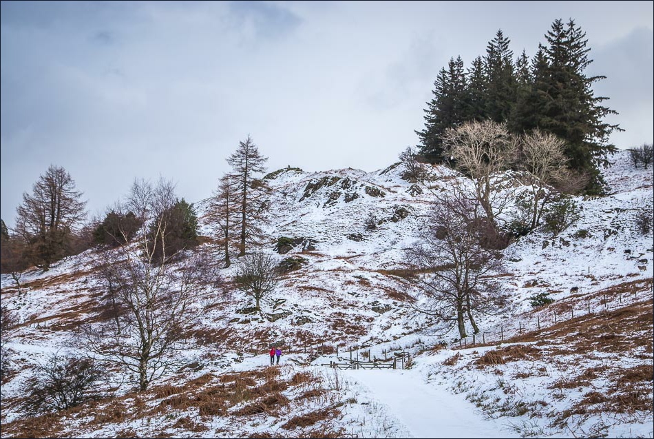 Tarn Hows walk Tarn Hows walk