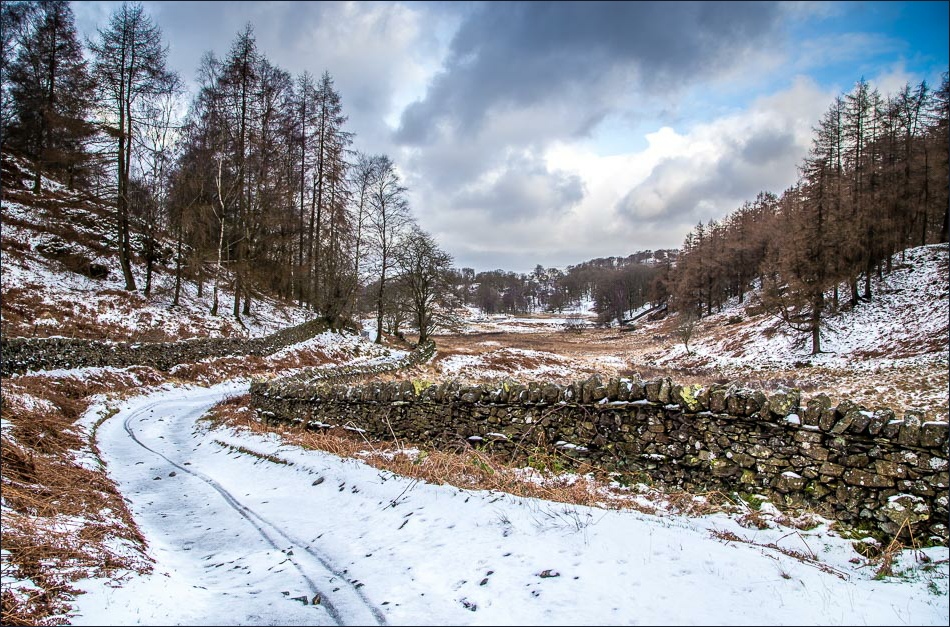 Tarn Hows walk, Arnside Tarn Hows walk, Arnside