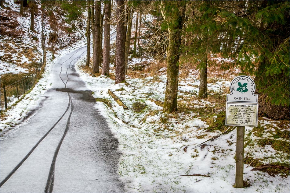 Tarn Hows walk, Oxen Fell Tarn Hows walk, Oxen Fell