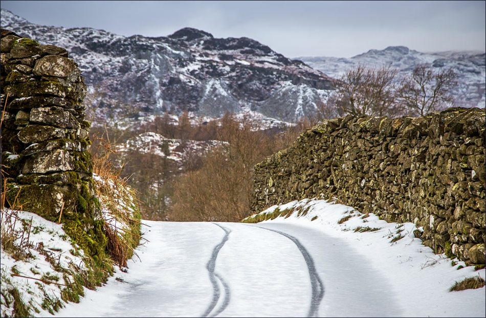 Tarn Hows walk, Oxen Fell Tarn Hows walk, Oxen Fell