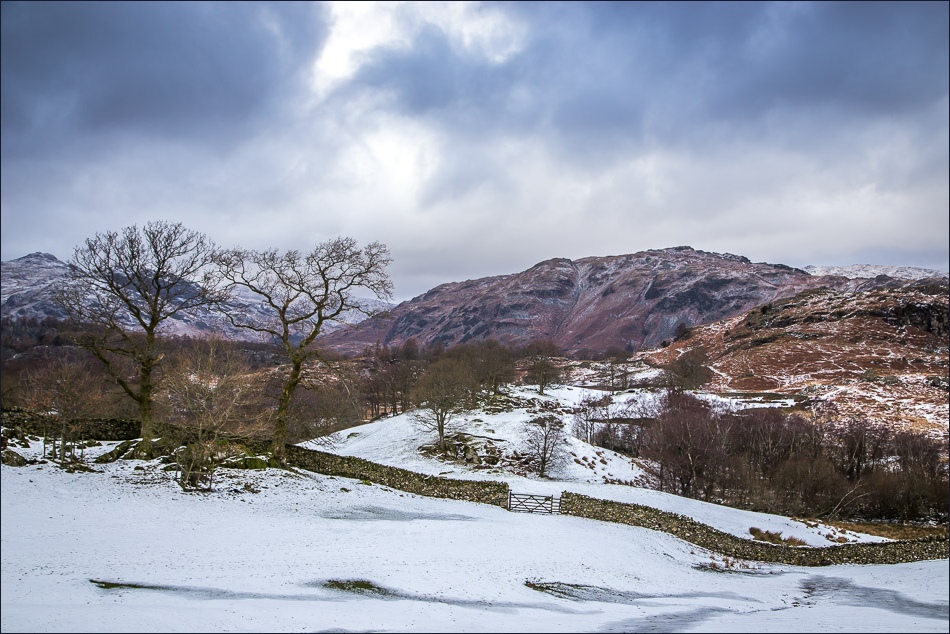 Tarn Hows walk, Tilberthwaite Fells Tarn Hows walk, Tilberthwaite Fells