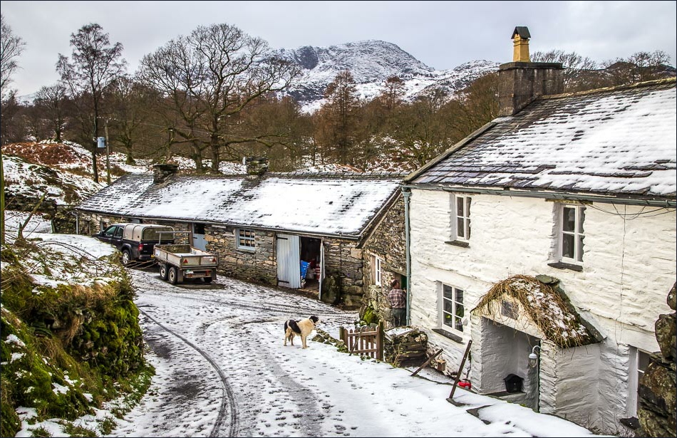 High Oxen Fell Farm High Oxen Fell Farm