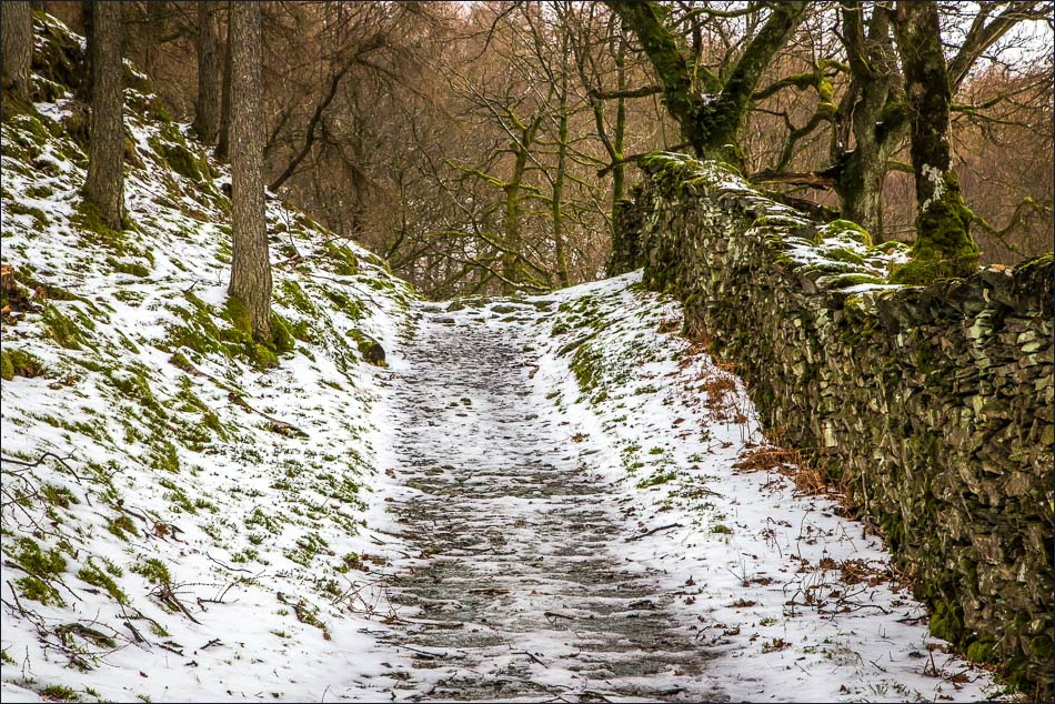 Tarn Hows walk Holme Fell Tarn Hows walk Holme Fell