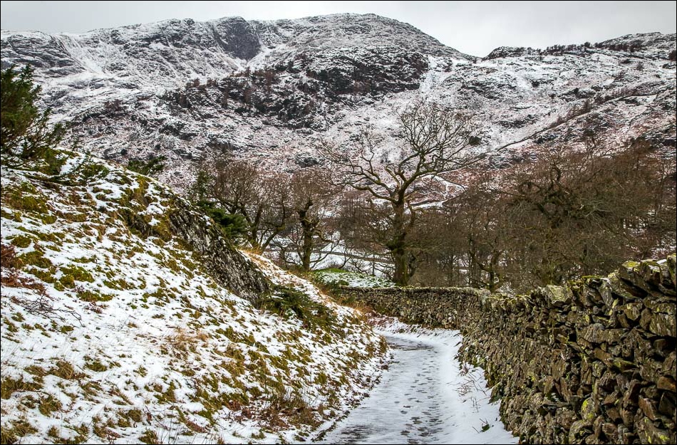 Tarn Hows walk Tarn Hows walk