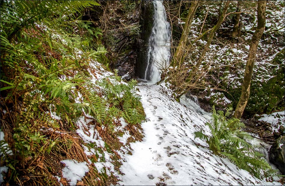 Tarn Hows walk, Tom Gill waterfalls Tarn Hows walk, Tom Gill waterfalls