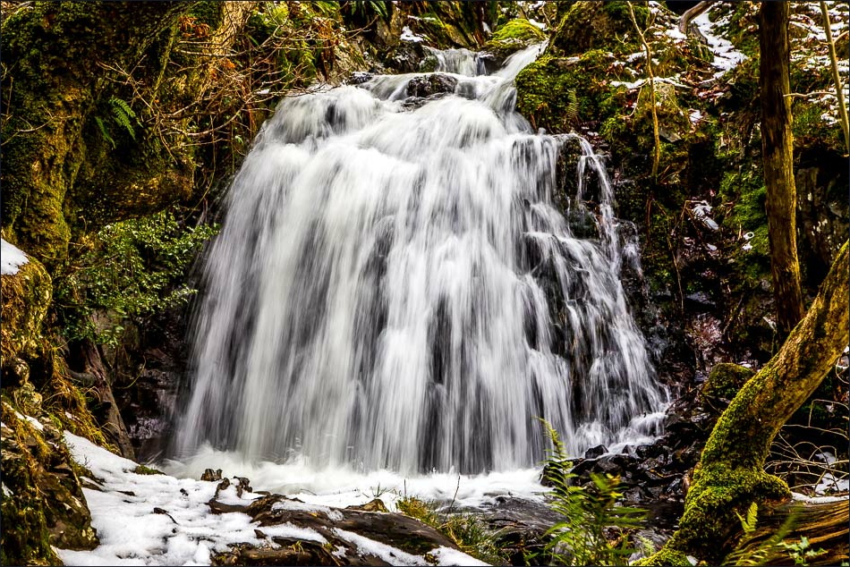 Tarn Hows walk, Tom Gill waterfalls Tarn Hows walk, Tom Gill waterfalls
